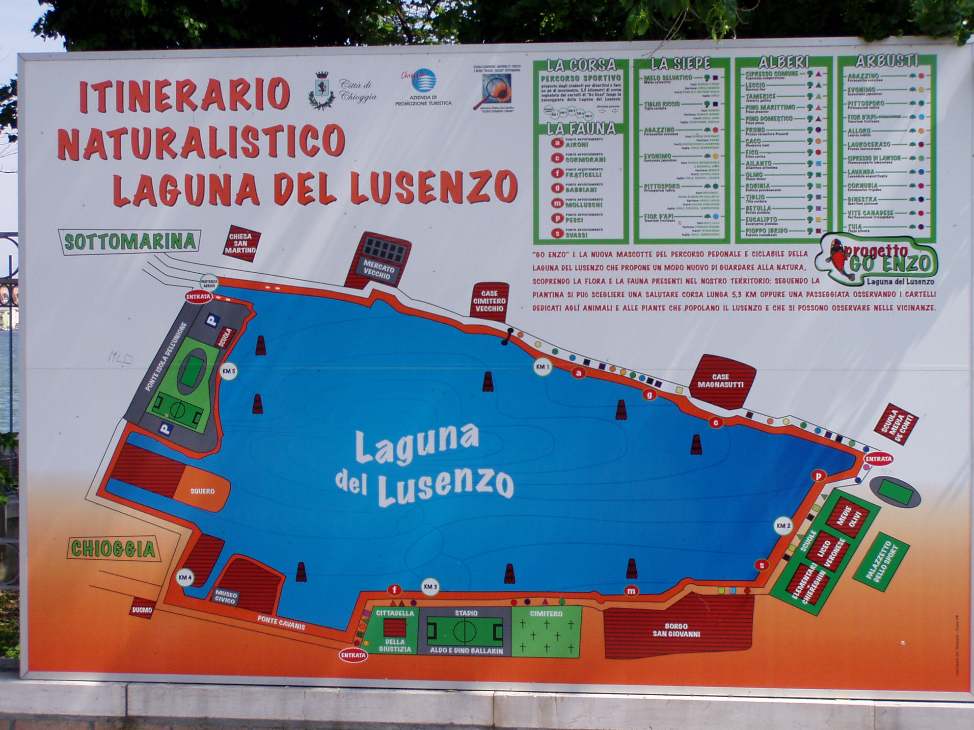 Paesaggio lagunare con vegetazione e acqua limpida vicino Chioggia